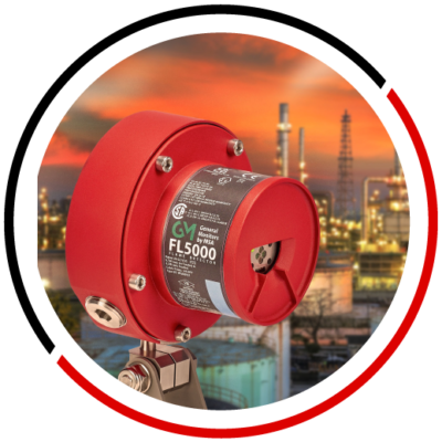 detec-hum-gas1 detec-hum-gas1
